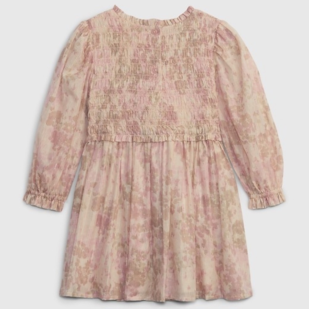 Baby GAP Toddler Smocked Metallic Dress 5T